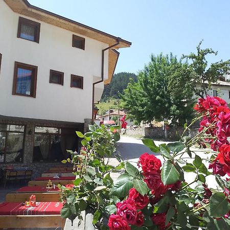 Къща За Гости Камината Trigrad Εξωτερικό φωτογραφία