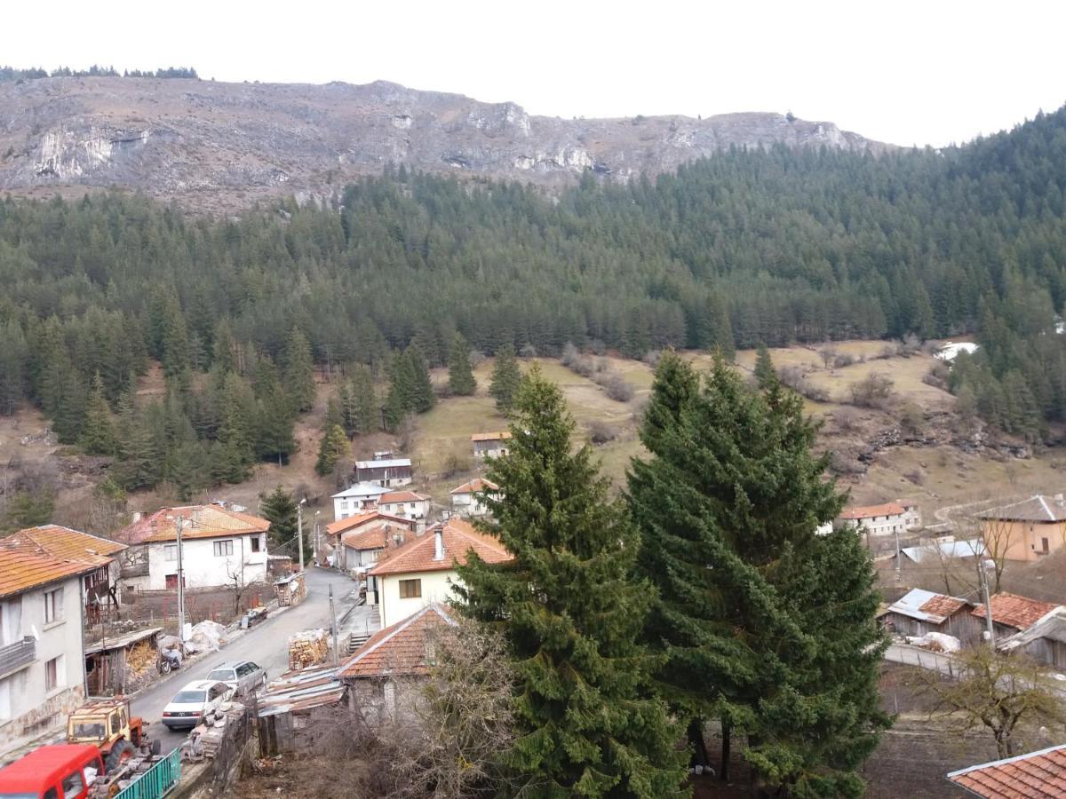 Къща За Гости Камината Trigrad Εξωτερικό φωτογραφία