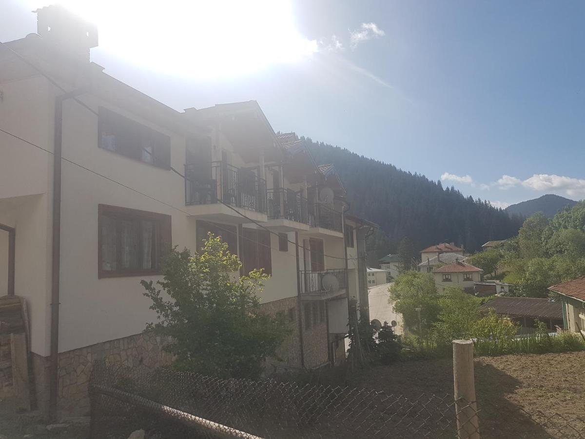 Къща За Гости Камината Trigrad Εξωτερικό φωτογραφία